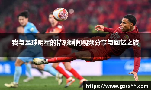 zoty中欧官方网站